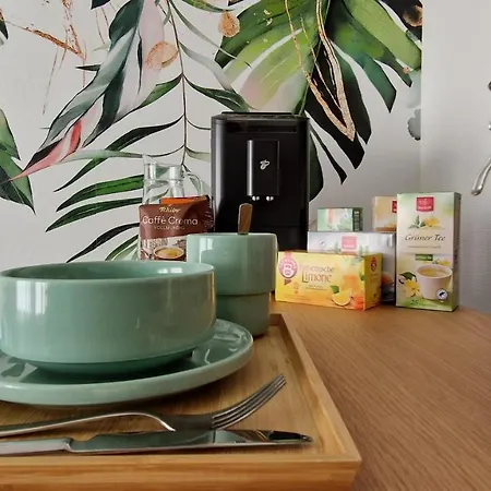 Appartamento Center 4 People King Bed, Near Switzerland, G'ermany, Near Airport, Free Parking Saint-Louis (Haut-Rhin)