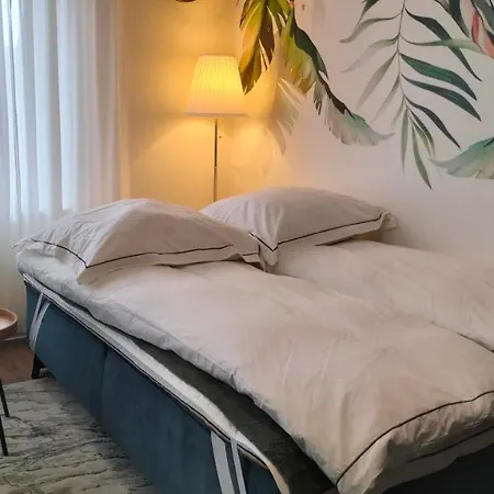 Appartamento Center 4 People King Bed, Near Switzerland, G'ermany, Near Airport, Free Parking Saint-Louis (Haut-Rhin)