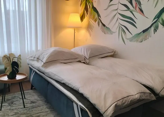 Appartement Center 4 People King Bed, Near Switzerland, G'ermany, Near Airport, Free Parking Saint-Louis (Haut-Rhin)