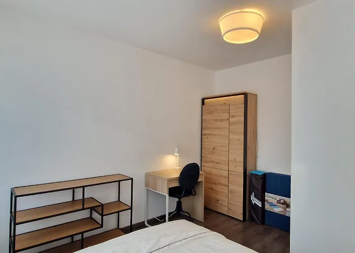 Center 4 People King Bed, Near Switzerland, G'ermany, Near Airport, Free Parking *