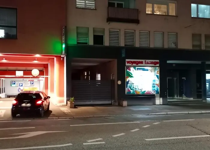 Center 4 People King Bed, Near Switzerland, G'ermany, Near Airport, Free Parking Appartement Saint-Louis (Haut-Rhin)